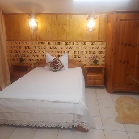 Apartament Pe Malul Raului Bega Τιμισοάρα Εξωτερικό φωτογραφία