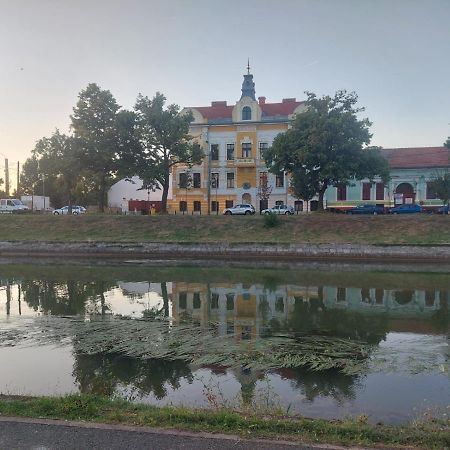 Apartament Pe Malul Raului Bega Τιμισοάρα Εξωτερικό φωτογραφία