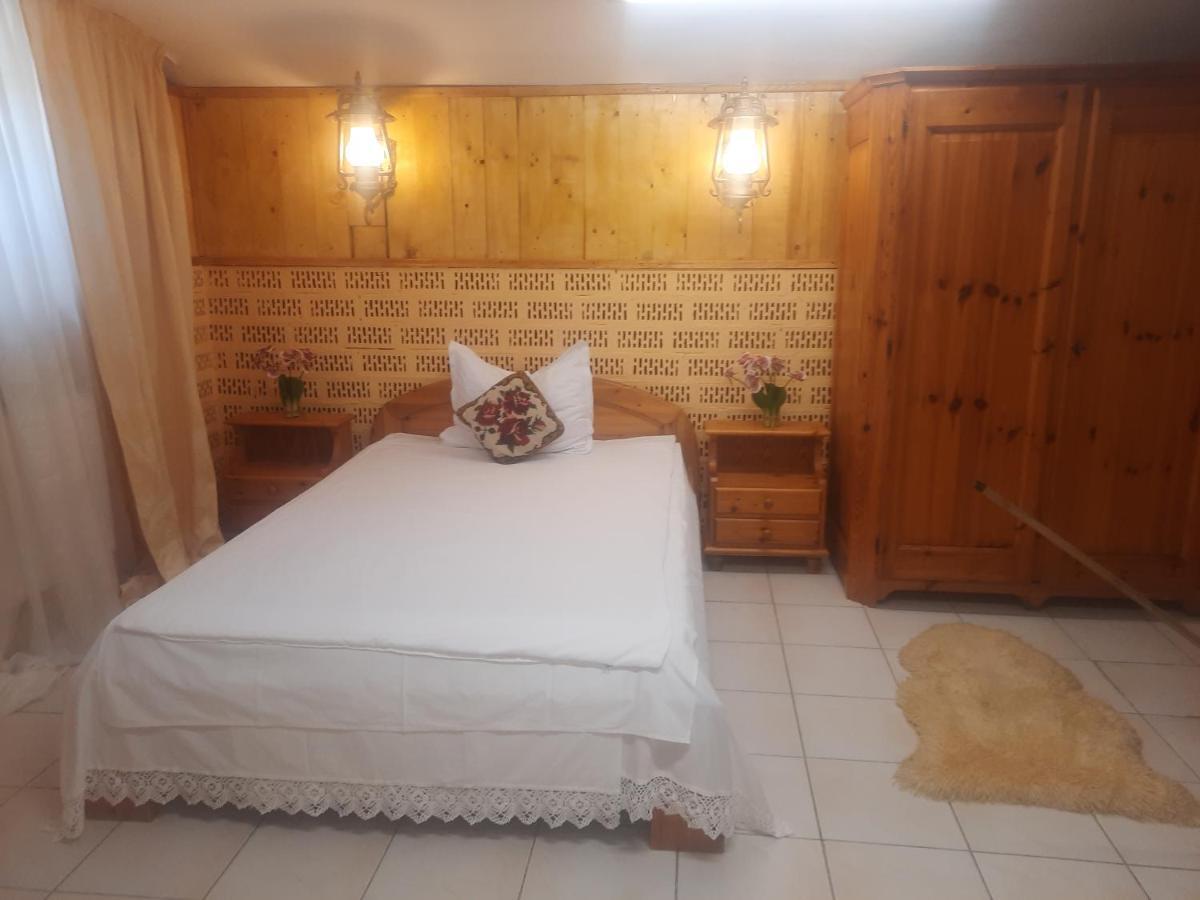Apartament Pe Malul Raului Bega Τιμισοάρα Εξωτερικό φωτογραφία