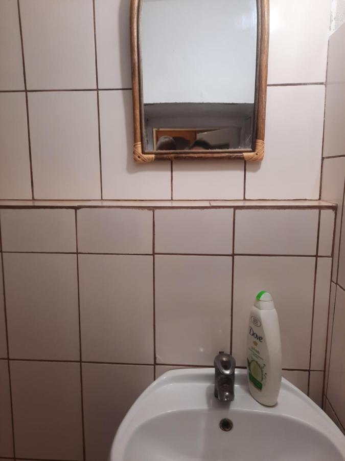 Apartament Pe Malul Raului Bega Τιμισοάρα Εξωτερικό φωτογραφία