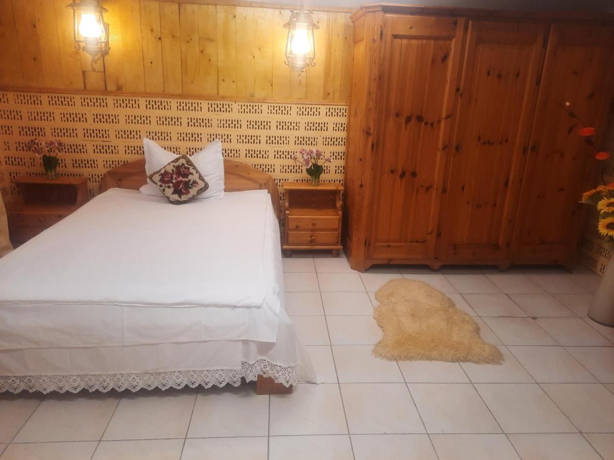 Apartament Pe Malul Raului Bega Τιμισοάρα Εξωτερικό φωτογραφία